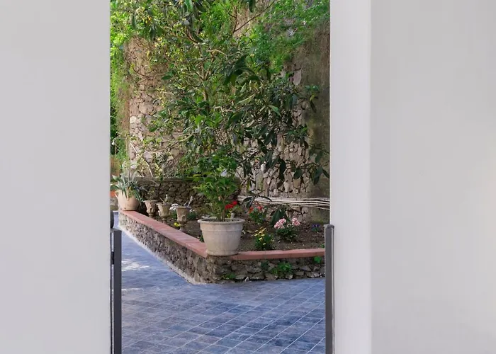 Carrino Twin بوسيتانو